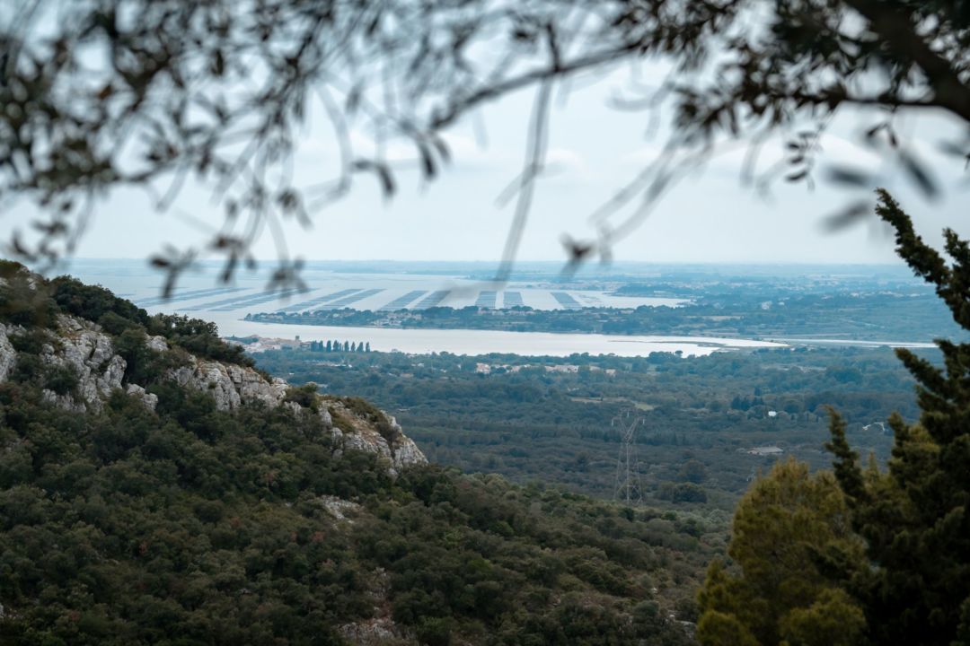 parc-a-huitres-donsansebas-ot-thau-26686-10781377