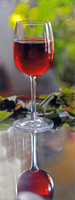 photo_degustations20110001