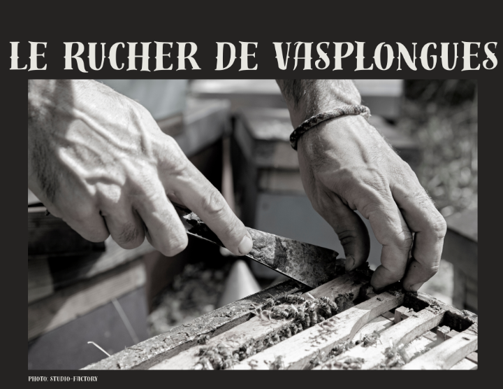 photo more chevalier