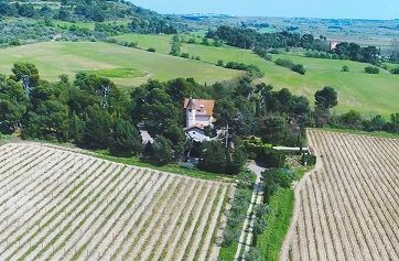 sidevisuals-domaine-region-02-1258x0-c-default