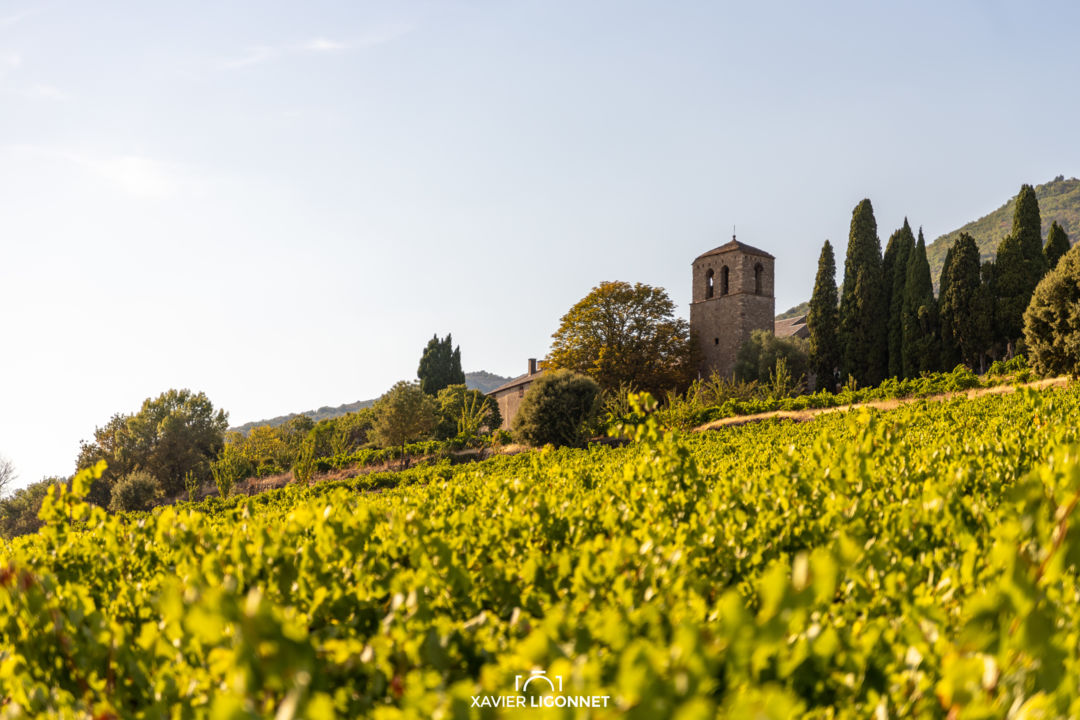 st julien-prieuré_XLigonnet (1)