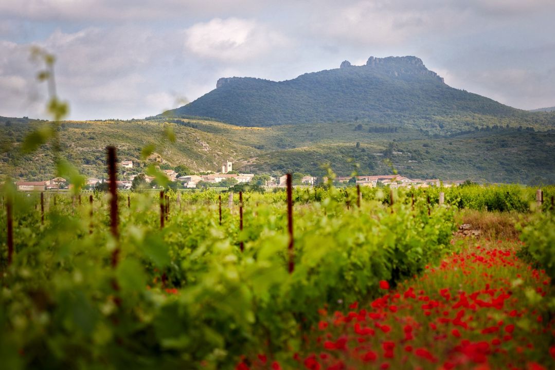 visuel portes ouvertes domaine Joly