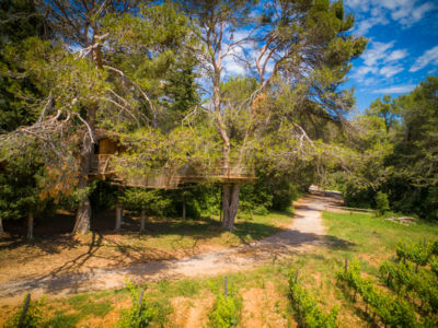 cabanes dans les arbres au domaine de l'arobousier, castries