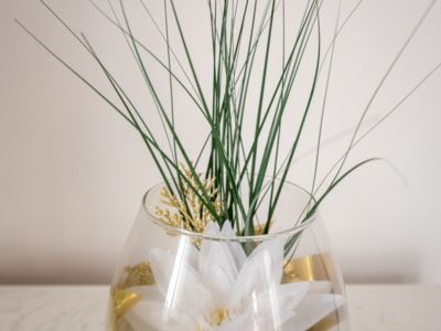 Gite Le pic st loup_8