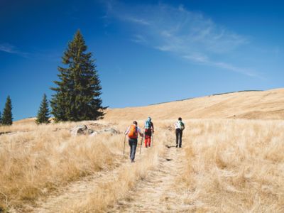 Wide shot of a group of hikers walking through a field of dry grass on a cloudy day