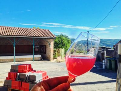 Vin La Beaumarelle
