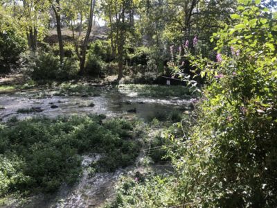 LES RIVIÈRES DU DOMAINE DE RESTINCLIÈRES, DES OASIS DE VIE