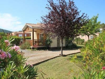 Les lauriers roses_17