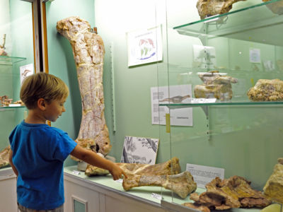 JOURNÉES EUROPÉENNES DU PATRIMOINE : VISITE DU MUSÉE PALÉONTOLOGIQUE