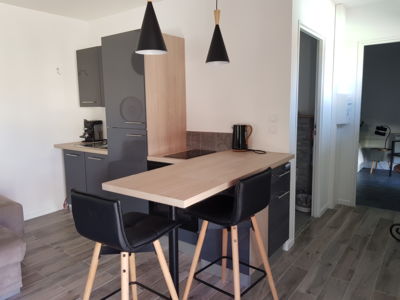 Cuisine /salon /pièce à vivre
