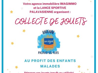 COLLECTE DE JOUETS AU PROFIT DES ENFANTS MALADES