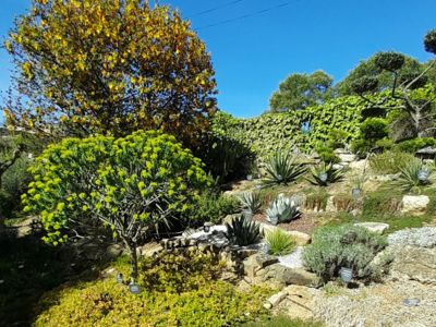 Partie inférieure du jardin