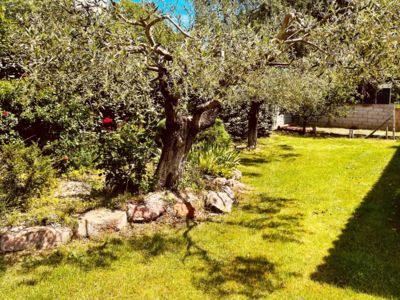 Villa des lavandins_2