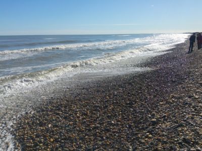 Location d'exception à villeneuve lès maguelone_2