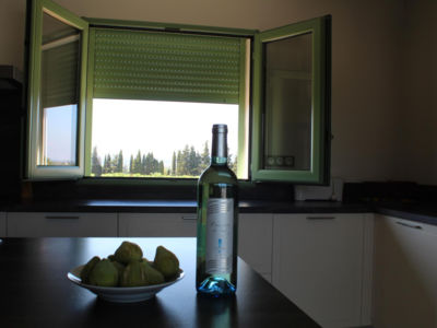 34G11301 - MAS DE L'ARRENQUE_10