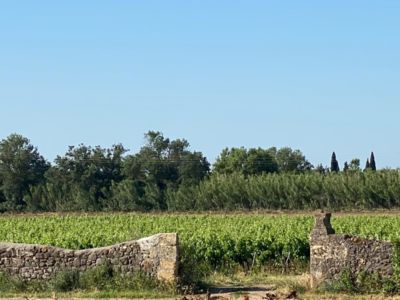 34G136 - Gîte des Vignes_4