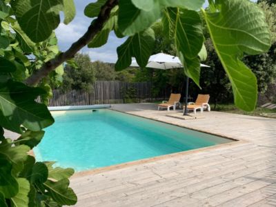 34G17541 Chambres d'hôtes les Joncas - Chambres d'hôtes les Joncas_7