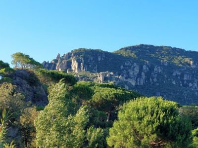 34G17541 Chambres d'hôtes les Joncas - Chambres d'hôtes les Joncas_10