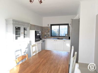 34G18307 - Papillon_8