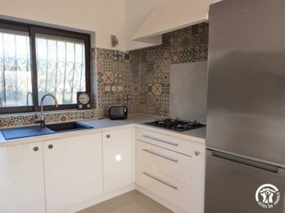 34G18307 - Papillon_7