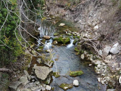 34G25109 - Gîte de la Brèze_10