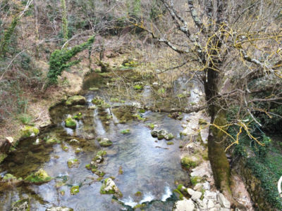 34G25109 - Gîte de la Brèze_2