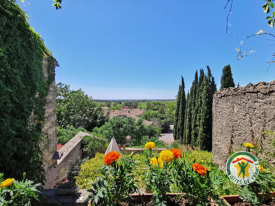 34G25601 - Gîte des Arts_4