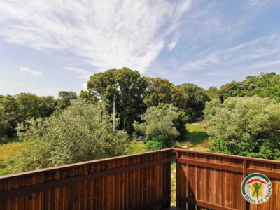 34G26604 - Au Jardin de Mère Nature - L'Olivier_2