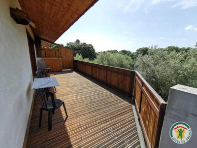 34G26604 - Au Jardin de Mère Nature - L'Olivier_3