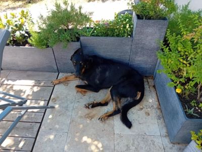 34G27404 - Chez Michel_9