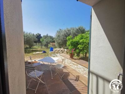 34G28809 - Dans les Oliviers_9