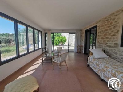 34G28809 - Dans les Oliviers_10