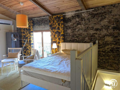 34G3143 - Le Petit Paradis - Picpoul_10