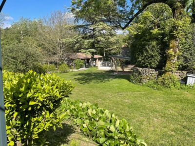 34G31706 - La Vie en Rose_8