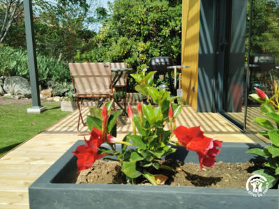 34G32001 - La petite maison en bois_2