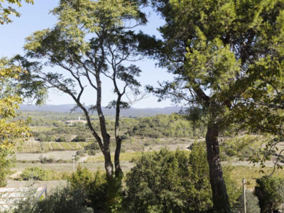 34G5906 - Gîte Liciole_6