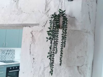 34G721 - Gîte d'artistes_7