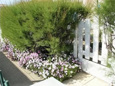 Mer soleil velos repos_9