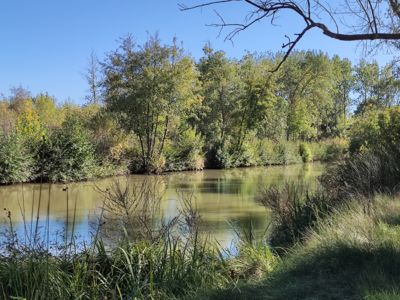 CAP AU SUD - LE CATHARE - 5