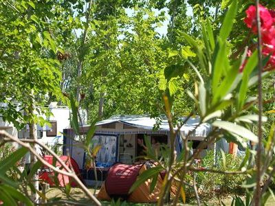 CAMPING LES MIMOSAS - 5