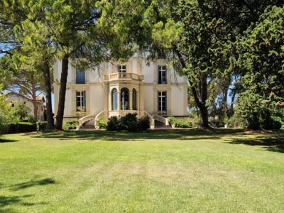 Gîtes Les Vignes - Château de Bayssan_11