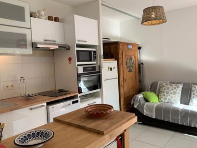 Location Appartement Bouzigues - Rez-de-Jardin Climatisé avec Terrasse et Jardin_4