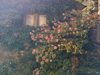 Le Gîte du Caroux_Rosis_10