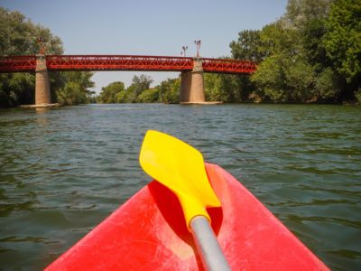 bayou-canoe_13