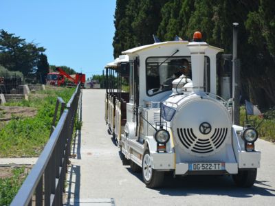 Petit train_06_Sandrine Muriel_2022_2