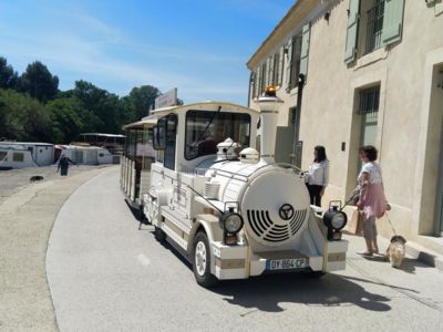 Petit train_03_Sandrine Muriel_2022_5