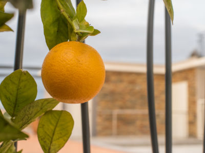 Hôtel Le Monestié_7