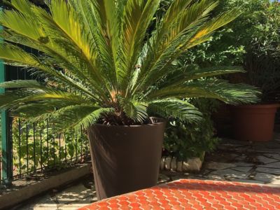 Camping Le Rebau21_20