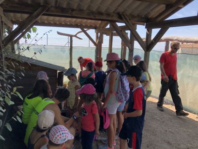 Camping Club Californie plage à Vias-plage_16