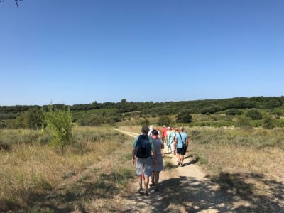 Visite Guidée de Nizas et du Sentier de Sainte-Perpétue_3